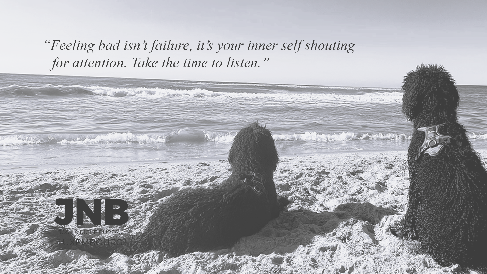 Reflection, Transformation, & Owning Your Journey